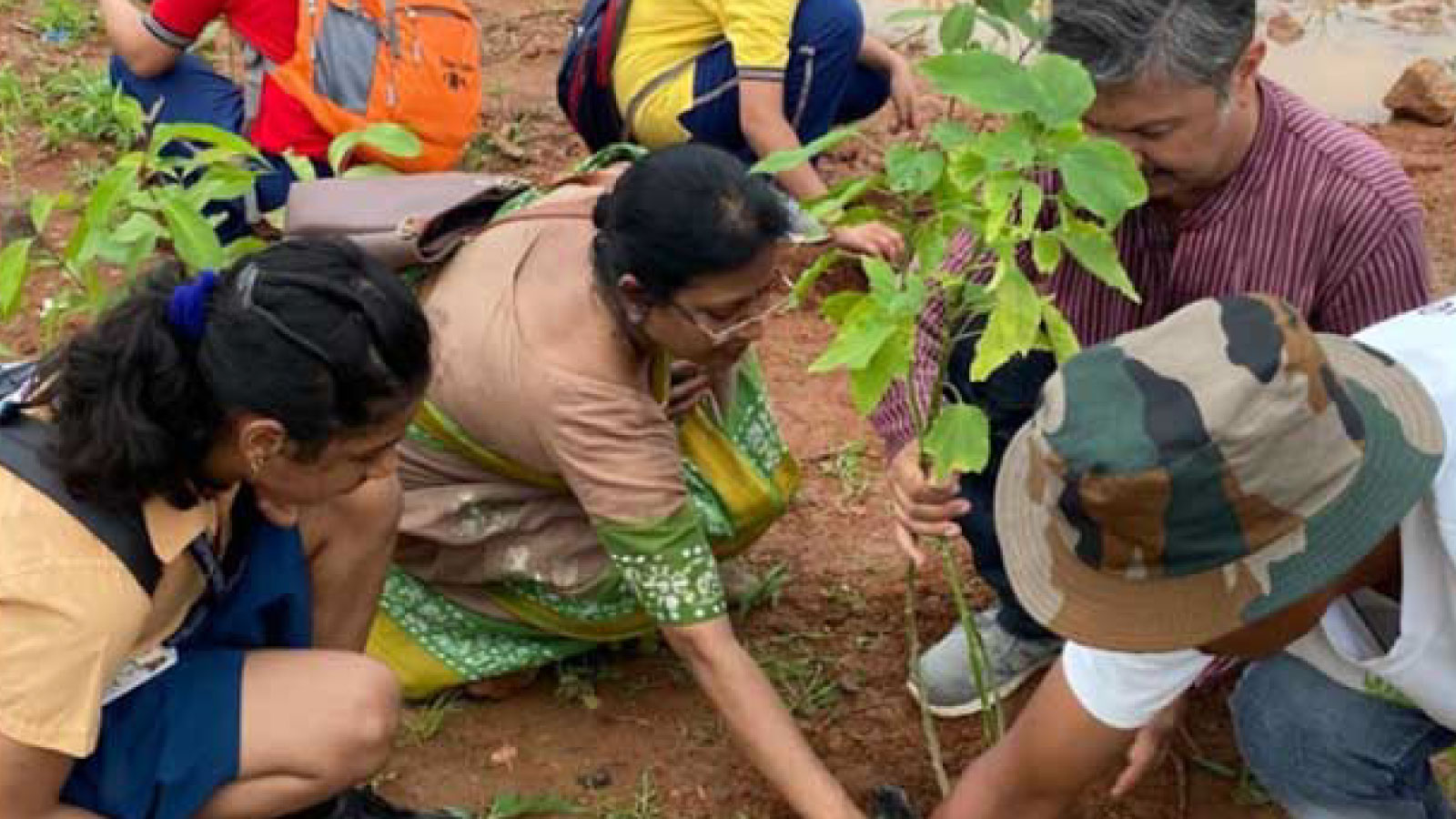 Image hover effect image